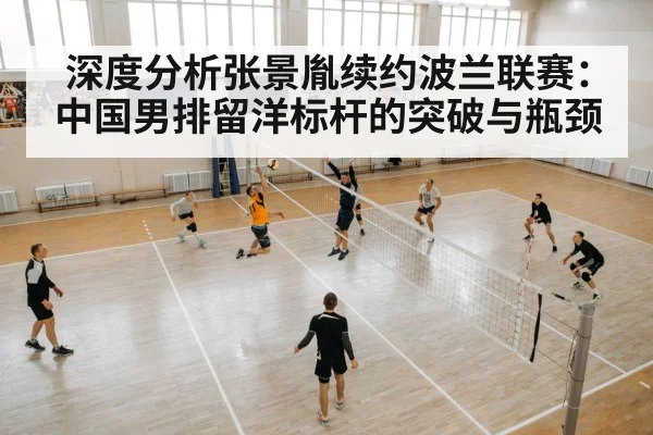 Polish volleyball league match