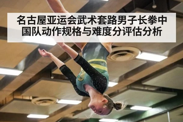 名古屋亚运会武术套路男子长拳中国队动作规格与难度分评估分析
